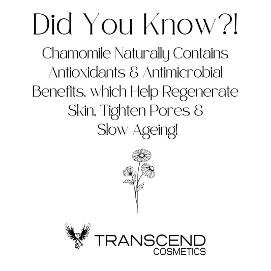 The image displays an educational graphic titled "Did You Know?!" that explains the benefits of chamomile for skincare. It states that chamomile naturally contains antioxidants and antimicrobial benefits, which help regenerate skin, tighten pores, and slow aging. Accompanied by an illustration of chamomile flowers, the graphic reinforces these benefits and features the logo of Transcend Cosmetics at the bottom.
