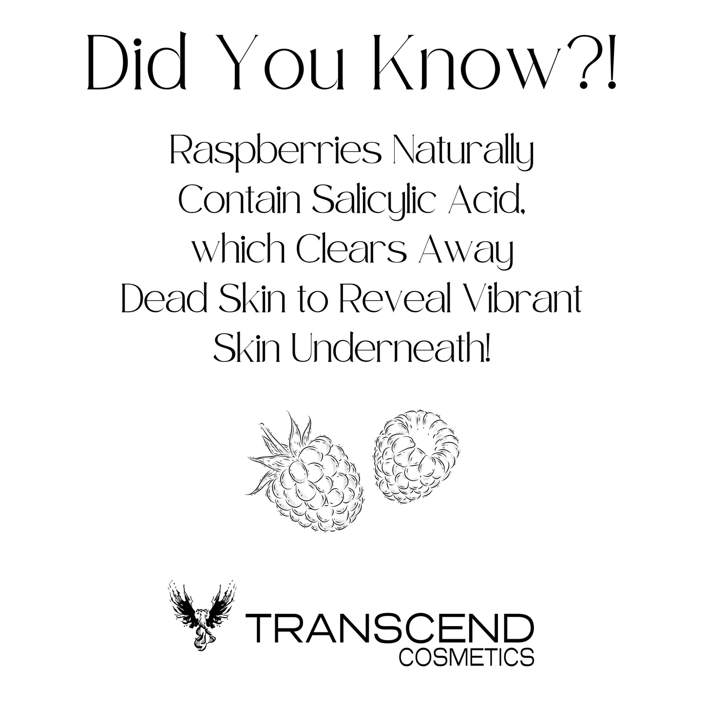 The image features an educational graphic titled "Did You Know?!" explaining the skincare benefits of raspberries. It states that raspberries naturally contain salicylic acid, which clears away dead skin to reveal vibrant skin underneath. An illustration of two raspberries accompanies the text, emphasizing the natural source. The Transcend Cosmetics logo is displayed at the bottom of the graphic.
