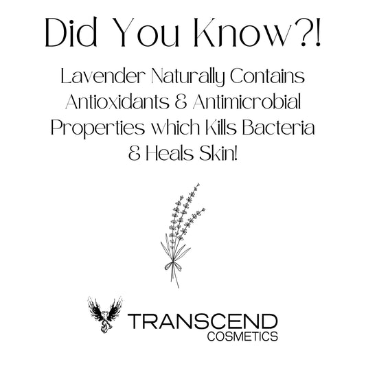 The image features an educational graphic titled "Did You Know?!" which explains the skincare benefits of lavender. It states that lavender naturally contains antioxidants and antimicrobial properties, which kill bacteria and heal skin. An illustration of a lavender sprig accompanies the text, emphasizing the natural source. The Transcend Cosmetics logo is displayed at the bottom of the graphic.
