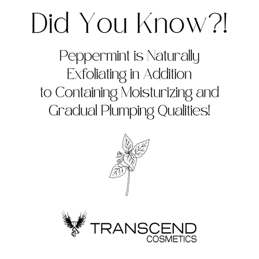 The image is a simple text-based educational graphic titled "Did You Know?!" which highlights the benefits of peppermint. The text states, "Peppermint is Naturally Exfoliating in Addition to Containing Moisturizing and Gradual Plumping Qualities!" Below the text, there's an illustration of a peppermint plant, emphasizing its relevance to the message. The logo of Transcend Cosmetics is displayed at the bottom, aligning the information with the brand.
